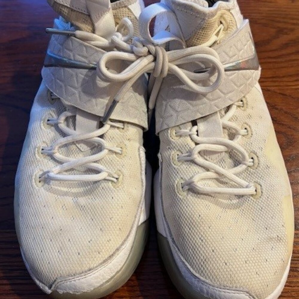 Nike Zoom LeBron James 14 Time to Share Shoes size 11